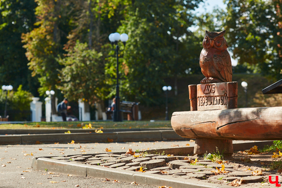Золотая осень — сказочная пора! Не только сумасшедше красивая, но и уютно теплая. Однако минус все же есть: прихода бабьего лета еще нужно дождаться, смирясь с капризами погоды. Какой же будет подготовка к самому живописному времени года на этот раз?