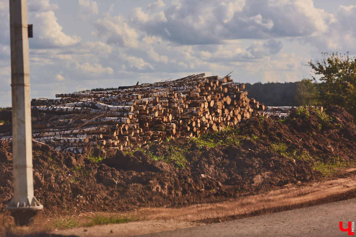 После семи месяцев ремонта открыли движение по мосту через реку Мжару. Эта дорога — основной въезд в Суздаль со стороны областного центра. В разгаре и капитальный ремонт всей трассы от Владимира. Когда запустят движение и что происходит на объекте сейчас? Читайте в фоторепортаже «Ключ-Медиа» с амбициозной стройки.