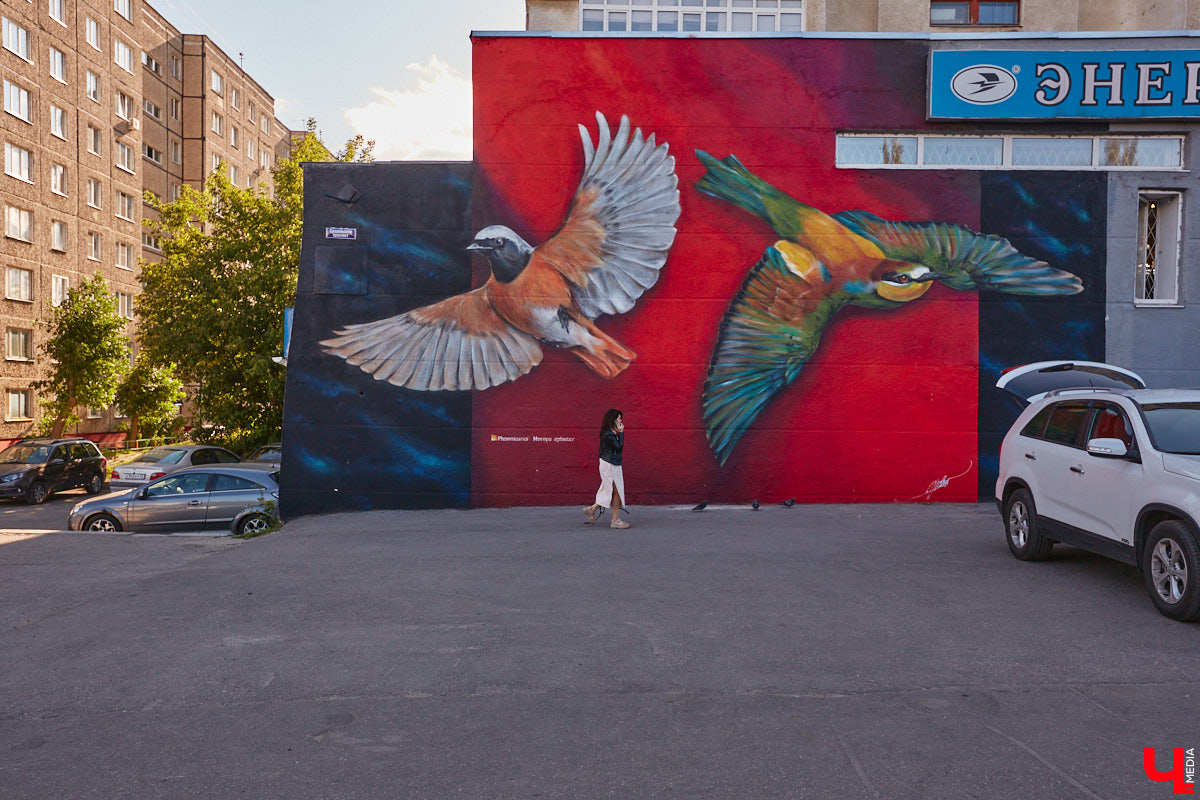 Этим летом Владимир традиционно превратился в творческую мастерскую талантливых художников, в которую мы получили безлимитный пропуск. Грех этим снова не воспользоваться! Айда вместе с нами любоваться новыми муралами на городских фасадах.