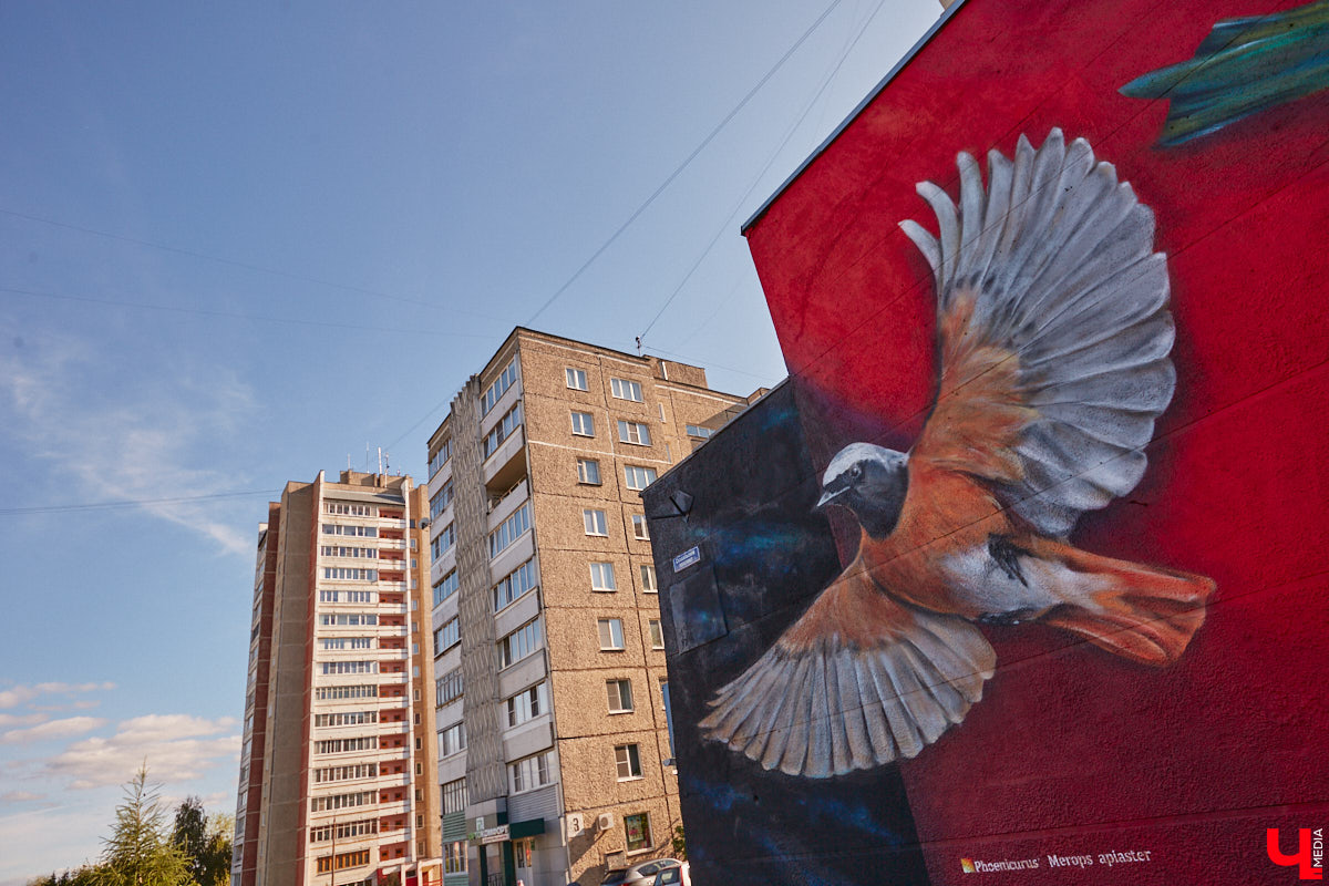 Этим летом Владимир традиционно превратился в творческую мастерскую талантливых художников, в которую мы получили безлимитный пропуск. Грех этим снова не воспользоваться! Айда вместе с нами любоваться новыми муралами на городских фасадах.
