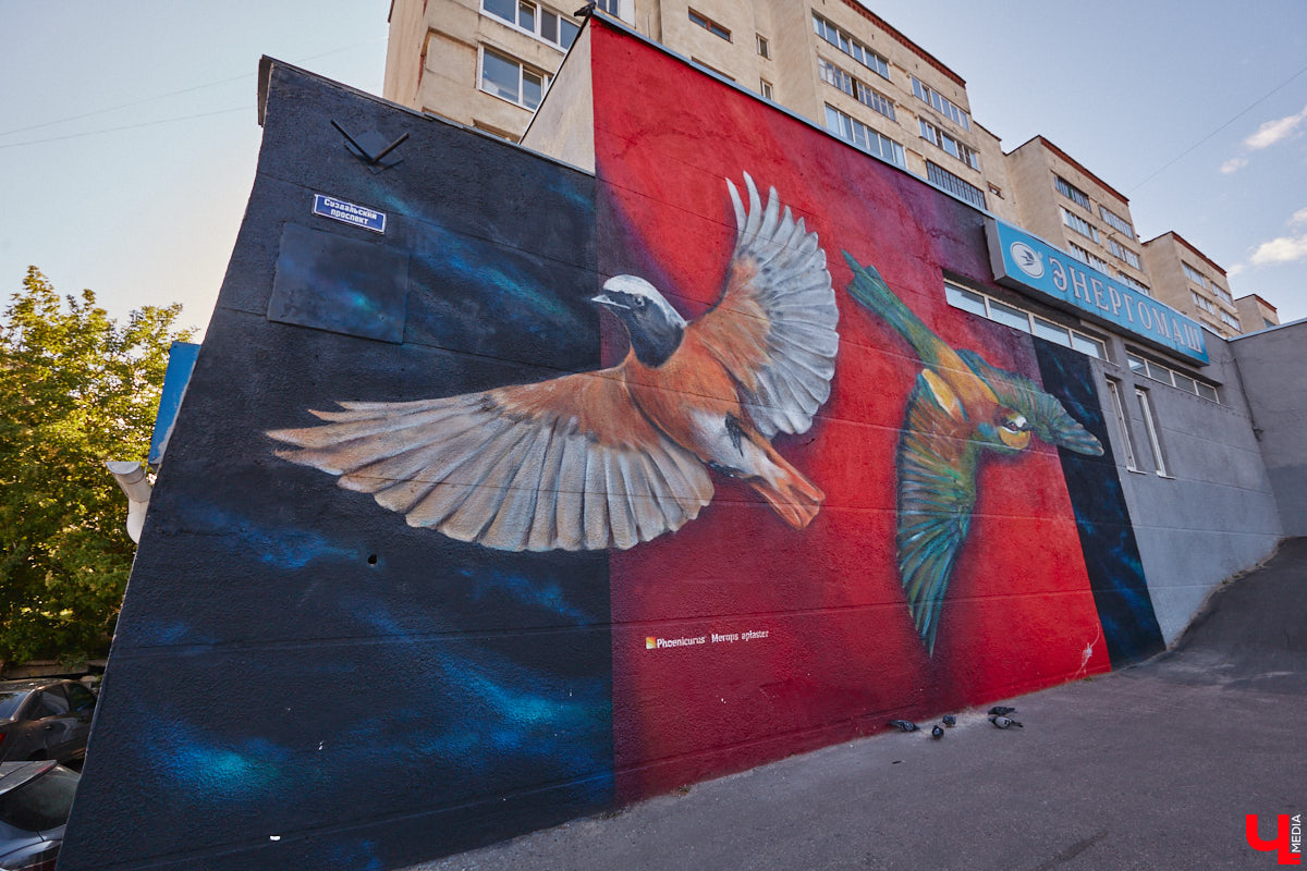 Этим летом Владимир традиционно превратился в творческую мастерскую талантливых художников, в которую мы получили безлимитный пропуск. Грех этим снова не воспользоваться! Айда вместе с нами любоваться новыми муралами на городских фасадах.