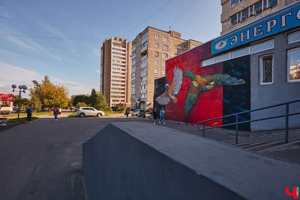 Этим летом Владимир традиционно превратился в творческую мастерскую талантливых художников, в которую мы получили безлимитный пропуск. Грех этим снова не воспользоваться! Айда вместе с нами любоваться новыми муралами на городских фасадах.