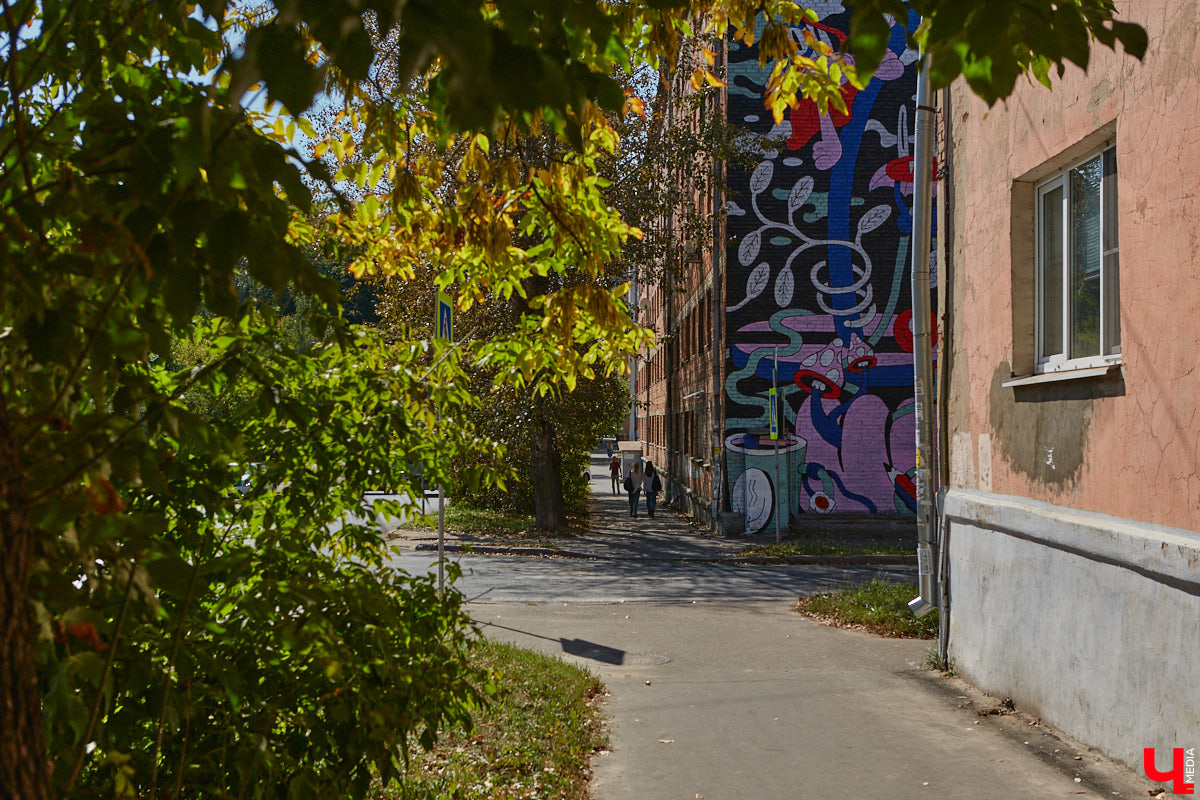 Этим летом Владимир традиционно превратился в творческую мастерскую талантливых художников, в которую мы получили безлимитный пропуск. Грех этим снова не воспользоваться! Айда вместе с нами любоваться новыми муралами на городских фасадах.
