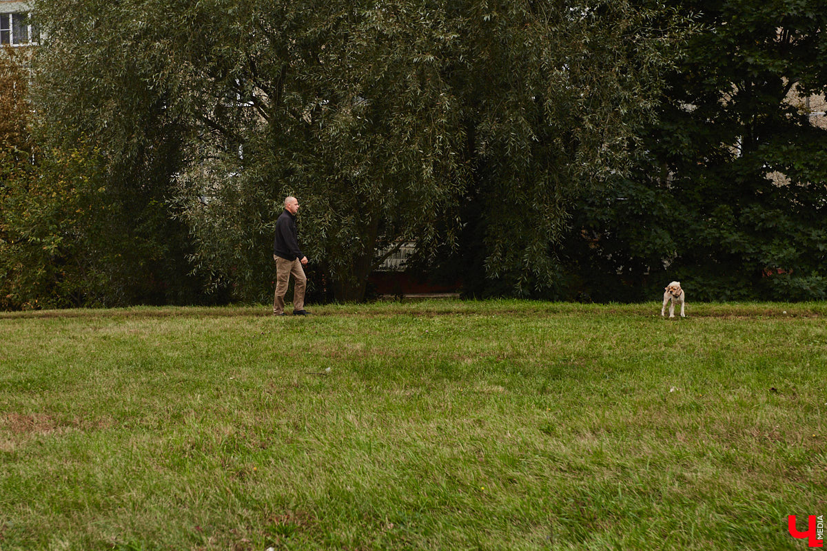 Думали, что с уходом лета завершится и обновление областного центра? Как бы не так! Владимир продолжат приводить в порядок до конца осени. Например, после того как найдут подрядчиков, в центре отремонтируют смотровую площадку и памятник князю Владимиру, а в микрорайоне 8-ЮЗ начнут первый этап благоустройства сквера.