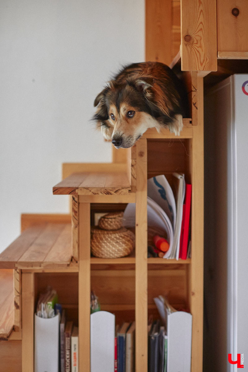 Неизвестно, появился        ли        бы уникальный арт-объект на        заборе в        Добром, если        бы у        керамиста Елизаветы Комаровой не        было дома с        собственной мастерской. Рассказываем про грандиозную реконструкцию семейного гнездышка на        перекрестке Погодина и        Восточной, где все сделано своими руками. А        главное        — с        любовью. Ну        и, разумеется, показываем, как из        заурядной сельской избы с        комнатами-клетушками владимирцы создали дом мечты с        совершенно неповторимым обликом.