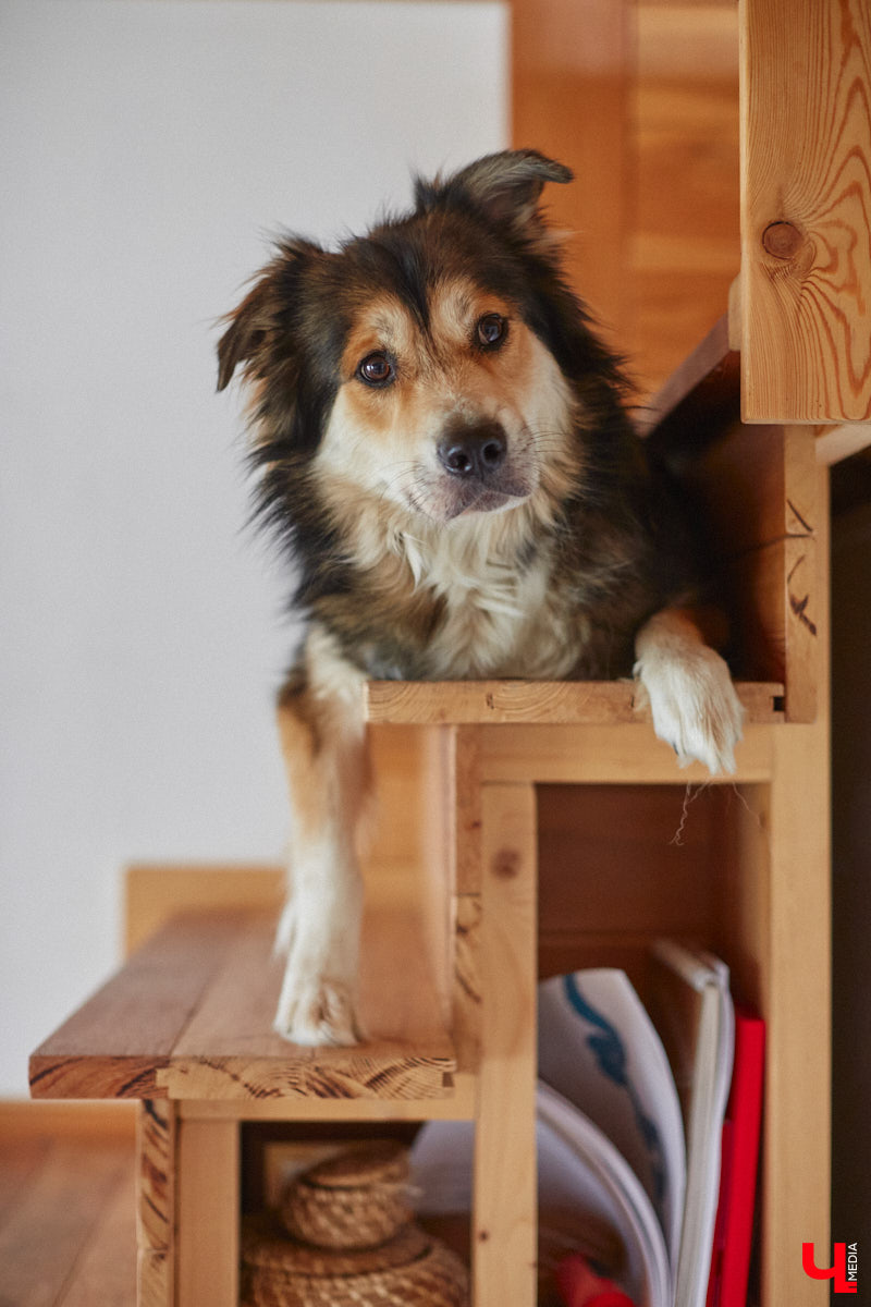 Неизвестно, появился        ли        бы уникальный арт-объект на        заборе в        Добром, если        бы у        керамиста Елизаветы Комаровой не        было дома с        собственной мастерской. Рассказываем про грандиозную реконструкцию семейного гнездышка на        перекрестке Погодина и        Восточной, где все сделано своими руками. А        главное        — с        любовью. Ну        и, разумеется, показываем, как из        заурядной сельской избы с        комнатами-клетушками владимирцы создали дом мечты с        совершенно неповторимым обликом.