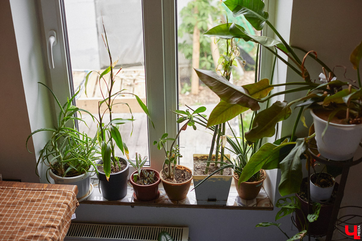 Неизвестно, появился        ли        бы уникальный арт-объект на        заборе в        Добром, если        бы у        керамиста Елизаветы Комаровой не        было дома с        собственной мастерской. Рассказываем про грандиозную реконструкцию семейного гнездышка на        перекрестке Погодина и        Восточной, где все сделано своими руками. А        главное        — с        любовью. Ну        и, разумеется, показываем, как из        заурядной сельской избы с        комнатами-клетушками владимирцы создали дом мечты с        совершенно неповторимым обликом.