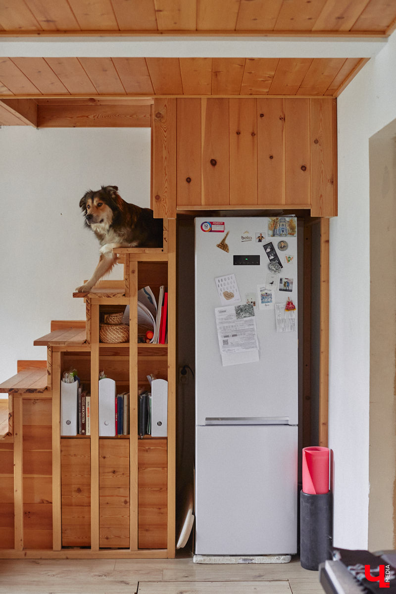 Неизвестно, появился        ли        бы уникальный арт-объект на        заборе в        Добром, если        бы у        керамиста Елизаветы Комаровой не        было дома с        собственной мастерской. Рассказываем про грандиозную реконструкцию семейного гнездышка на        перекрестке Погодина и        Восточной, где все сделано своими руками. А        главное        — с        любовью. Ну        и, разумеется, показываем, как из        заурядной сельской избы с        комнатами-клетушками владимирцы создали дом мечты с        совершенно неповторимым обликом.