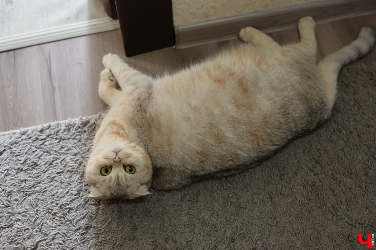 Дети — драгоценный подарок. Вот только некоторым в погоне за этим счастьем приходится пройти нелегкий путь. Мария Костомарова и ее супруг Александр провели в ожидании заветных полосок на тесте целых пять лет. О том, как не потерять вкус к жизни и почему все-таки нужно верить в чудо, женщина рассказала в откровенном интервью «Ключ-Медиа».