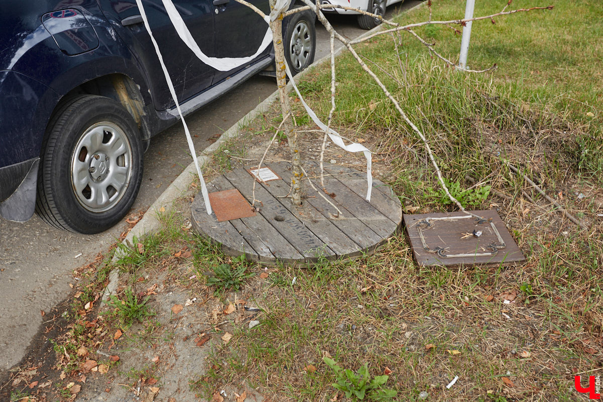 Свернув с широкой улицы Горького, попадаешь... нет, не в Нарнию, а в спальный район с душевной атмосферой. Вероника Куженькина живет на Всполье уже 23 года и знает там каждый уголок. По ним мы с ней и прогулялись в компании прелестной собаки Дольки, заглянув в ламповые дворики и парк с интересной историей.