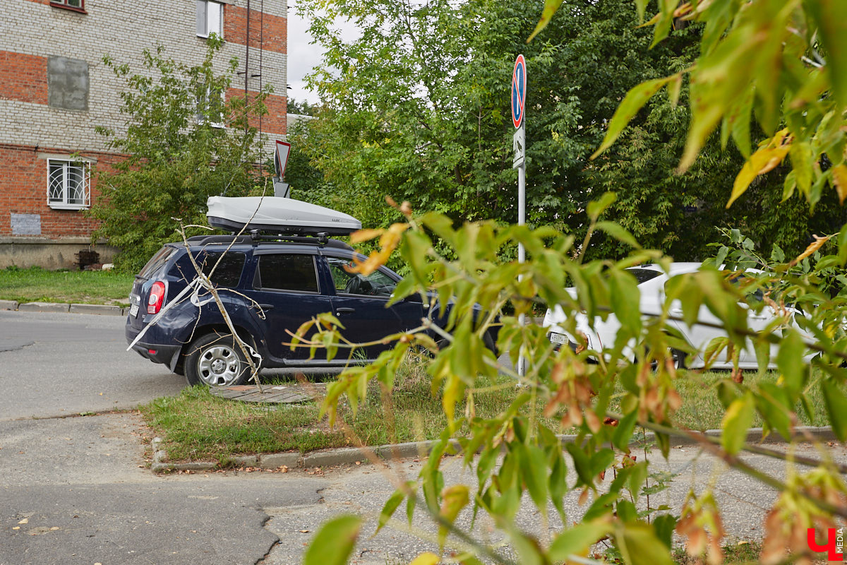 Свернув с широкой улицы Горького, попадаешь... нет, не в Нарнию, а в спальный район с душевной атмосферой. Вероника Куженькина живет на Всполье уже 23 года и знает там каждый уголок. По ним мы с ней и прогулялись в компании прелестной собаки Дольки, заглянув в ламповые дворики и парк с интересной историей.