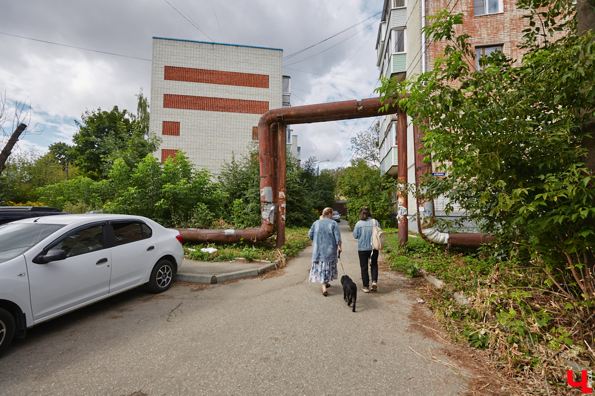 Свернув с широкой улицы Горького, попадаешь... нет, не в Нарнию, а в спальный район с душевной атмосферой. Вероника Куженькина живет на Всполье уже 23 года и знает там каждый уголок. По ним мы с ней и прогулялись в компании прелестной собаки Дольки, заглянув в ламповые дворики и парк с интересной историей.