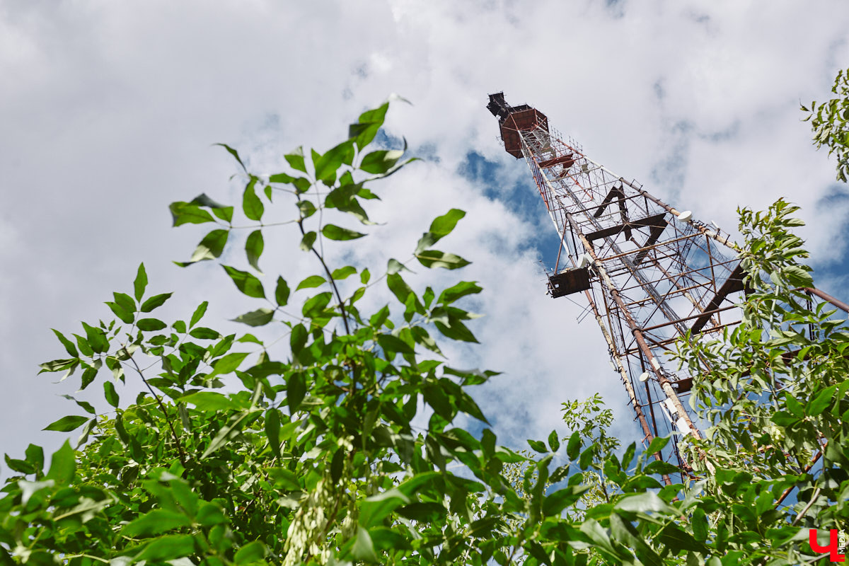 Свернув с широкой улицы Горького, попадаешь... нет, не в Нарнию, а в спальный район с душевной атмосферой. Вероника Куженькина живет на Всполье уже 23 года и знает там каждый уголок. По ним мы с ней и прогулялись в компании прелестной собаки Дольки, заглянув в ламповые дворики и парк с интересной историей.