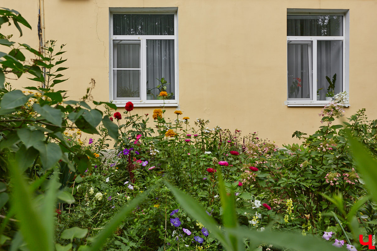 Свернув с широкой улицы Горького, попадаешь... нет, не в Нарнию, а в спальный район с душевной атмосферой. Вероника Куженькина живет на Всполье уже 23 года и знает там каждый уголок. По ним мы с ней и прогулялись в компании прелестной собаки Дольки, заглянув в ламповые дворики и парк с интересной историей.