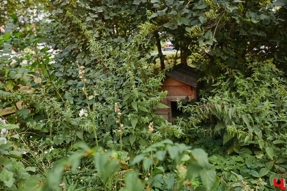 Свернув с широкой улицы Горького, попадаешь... нет, не в Нарнию, а в спальный район с душевной атмосферой. Вероника Куженькина живет на Всполье уже 23 года и знает там каждый уголок. По ним мы с ней и прогулялись в компании прелестной собаки Дольки, заглянув в ламповые дворики и парк с интересной историей.