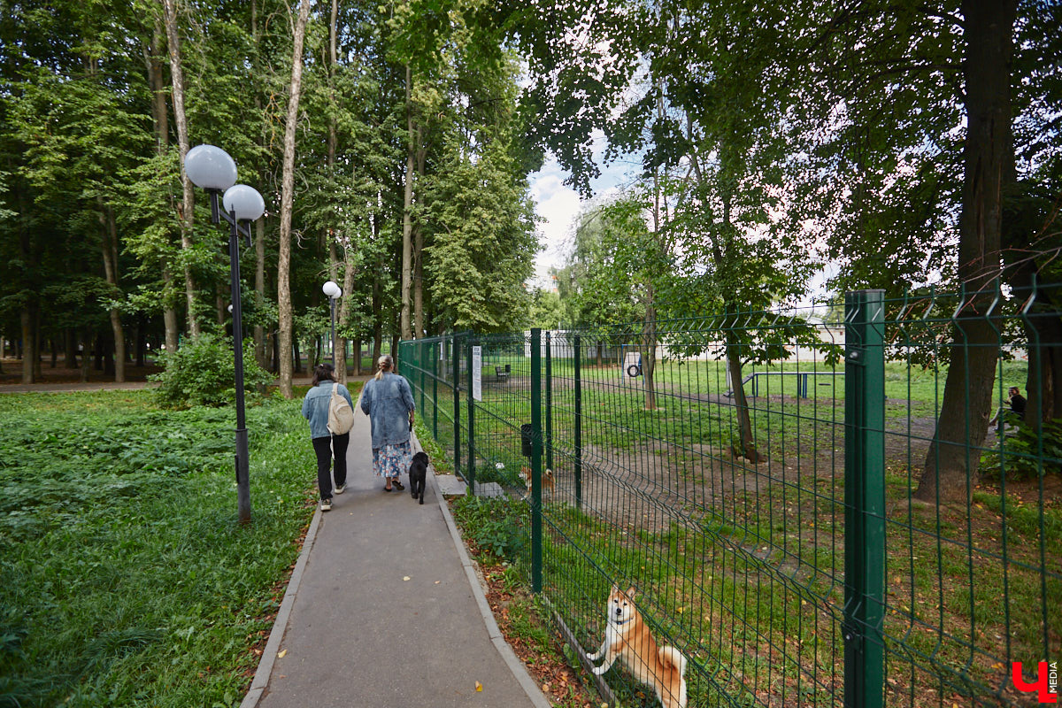 Свернув с широкой улицы Горького, попадаешь... нет, не в Нарнию, а в спальный район с душевной атмосферой. Вероника Куженькина живет на Всполье уже 23 года и знает там каждый уголок. По ним мы с ней и прогулялись в компании прелестной собаки Дольки, заглянув в ламповые дворики и парк с интересной историей.