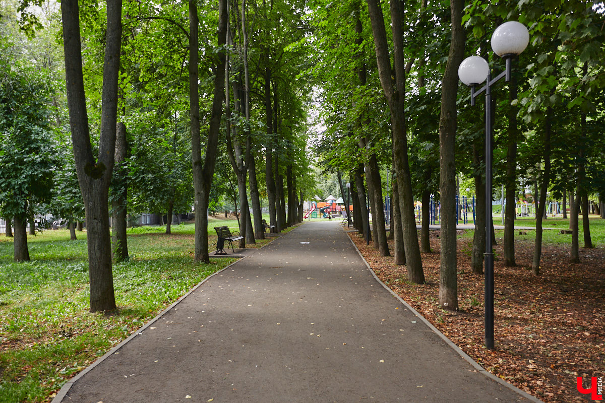 Свернув с широкой улицы Горького, попадаешь... нет, не в Нарнию, а в спальный район с душевной атмосферой. Вероника Куженькина живет на Всполье уже 23 года и знает там каждый уголок. По ним мы с ней и прогулялись в компании прелестной собаки Дольки, заглянув в ламповые дворики и парк с интересной историей.