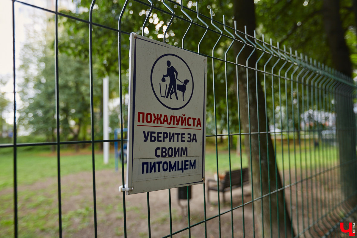 Свернув с широкой улицы Горького, попадаешь... нет, не в Нарнию, а в спальный район с душевной атмосферой. Вероника Куженькина живет на Всполье уже 23 года и знает там каждый уголок. По ним мы с ней и прогулялись в компании прелестной собаки Дольки, заглянув в ламповые дворики и парк с интересной историей.