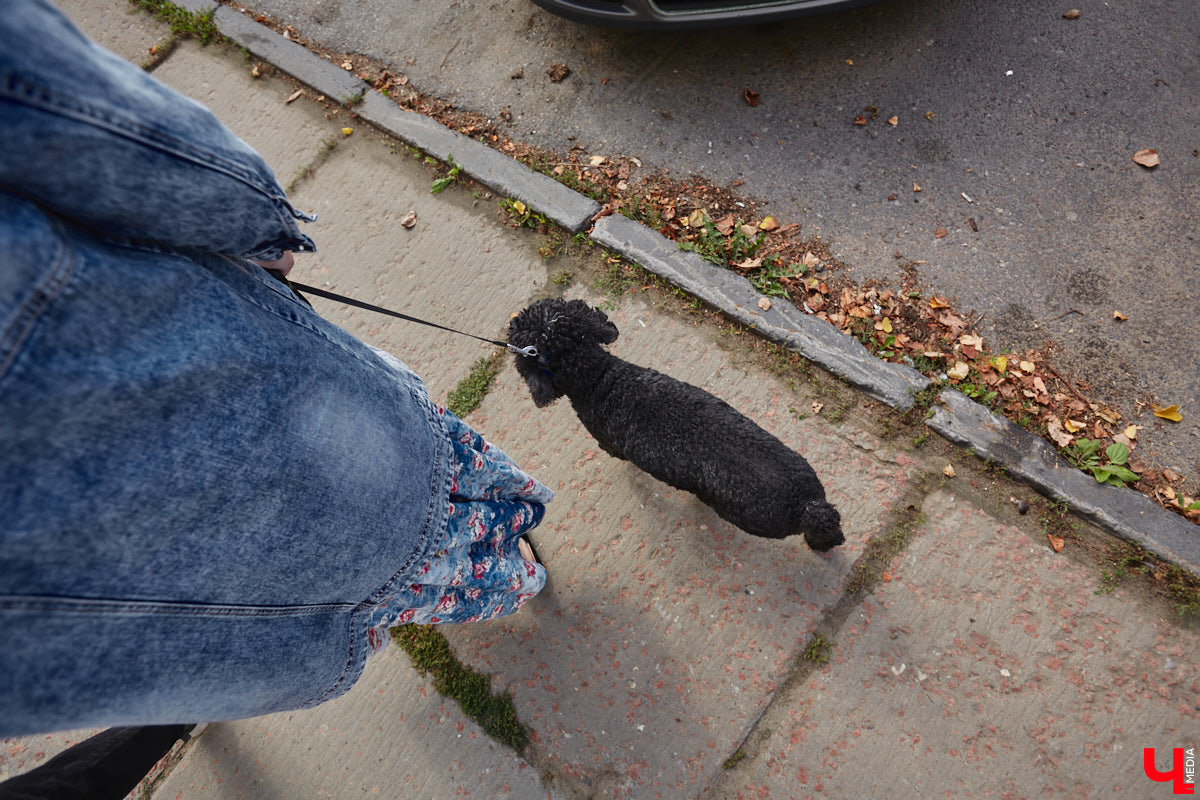 Свернув с широкой улицы Горького, попадаешь... нет, не в Нарнию, а в спальный район с душевной атмосферой. Вероника Куженькина живет на Всполье уже 23 года и знает там каждый уголок. По ним мы с ней и прогулялись в компании прелестной собаки Дольки, заглянув в ламповые дворики и парк с интересной историей.