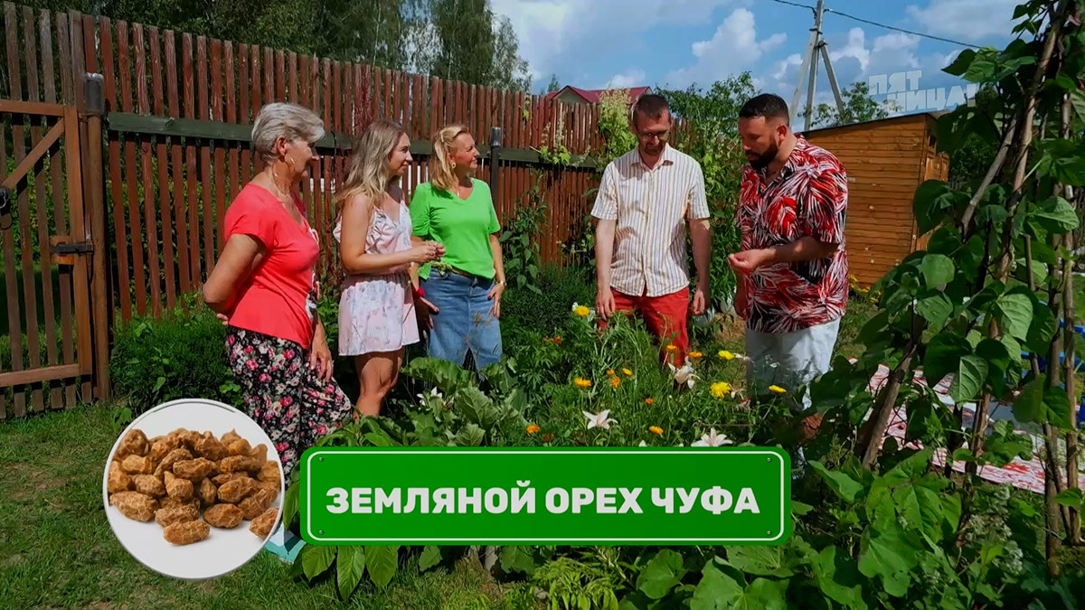 На телеканале «Пятница!» вышла новая серия реалити-шоу «Четыре дачи». Участие в нем приняли жители Золотого кольца России, причем двое из 33-го региона. Оба пусть и не победили, зато заняли призовые места. О том, как проходили съемки и что осталось за кадром, они рассказали «Ключ-Медиа».