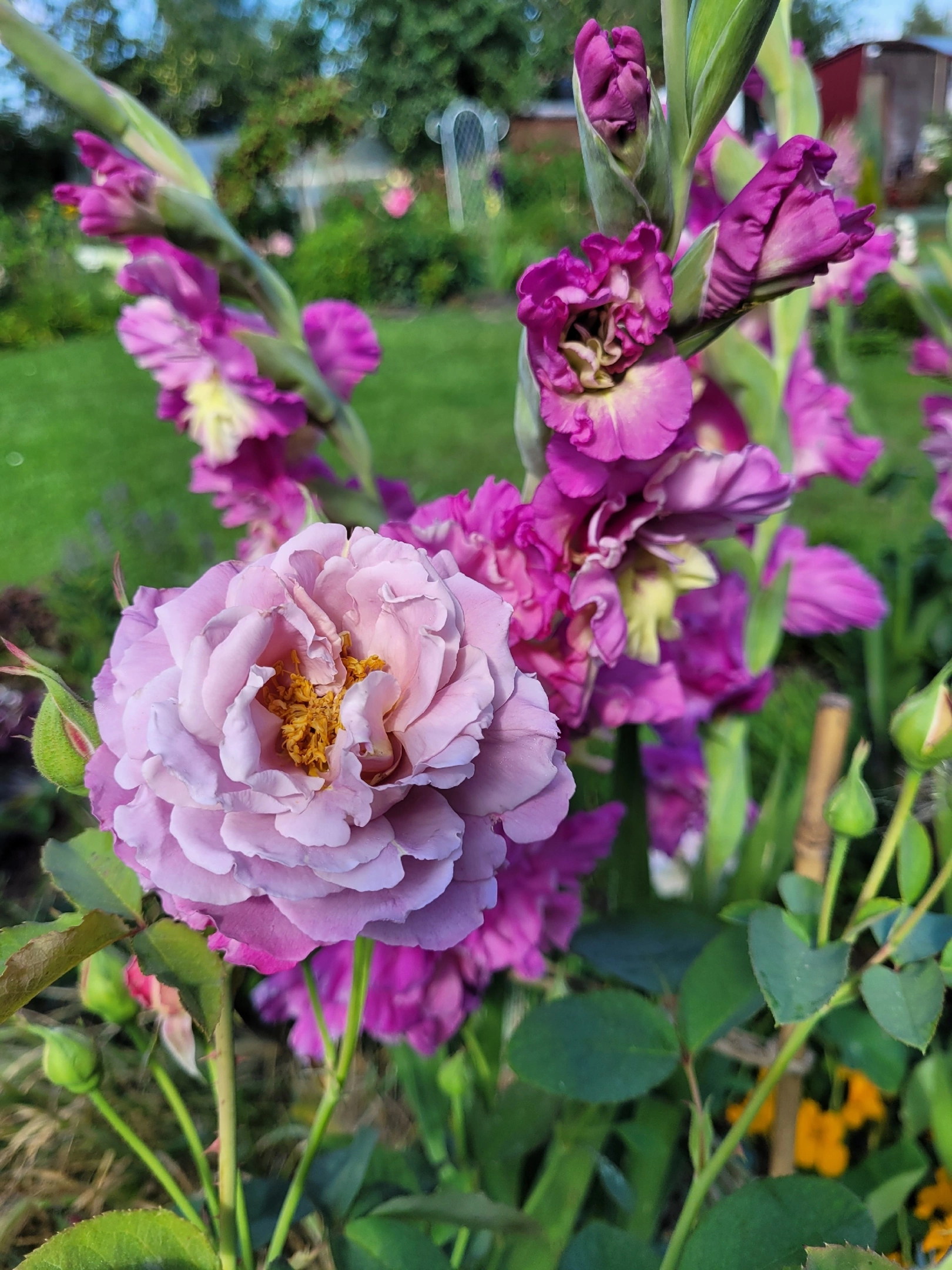 На телеканале «Пятница!» вышла новая серия реалити-шоу «Четыре дачи». Участие в нем приняли жители Золотого кольца России, причем двое из 33-го региона. Оба пусть и не победили, зато заняли призовые места. О том, как проходили съемки и что осталось за кадром, они рассказали «Ключ-Медиа».