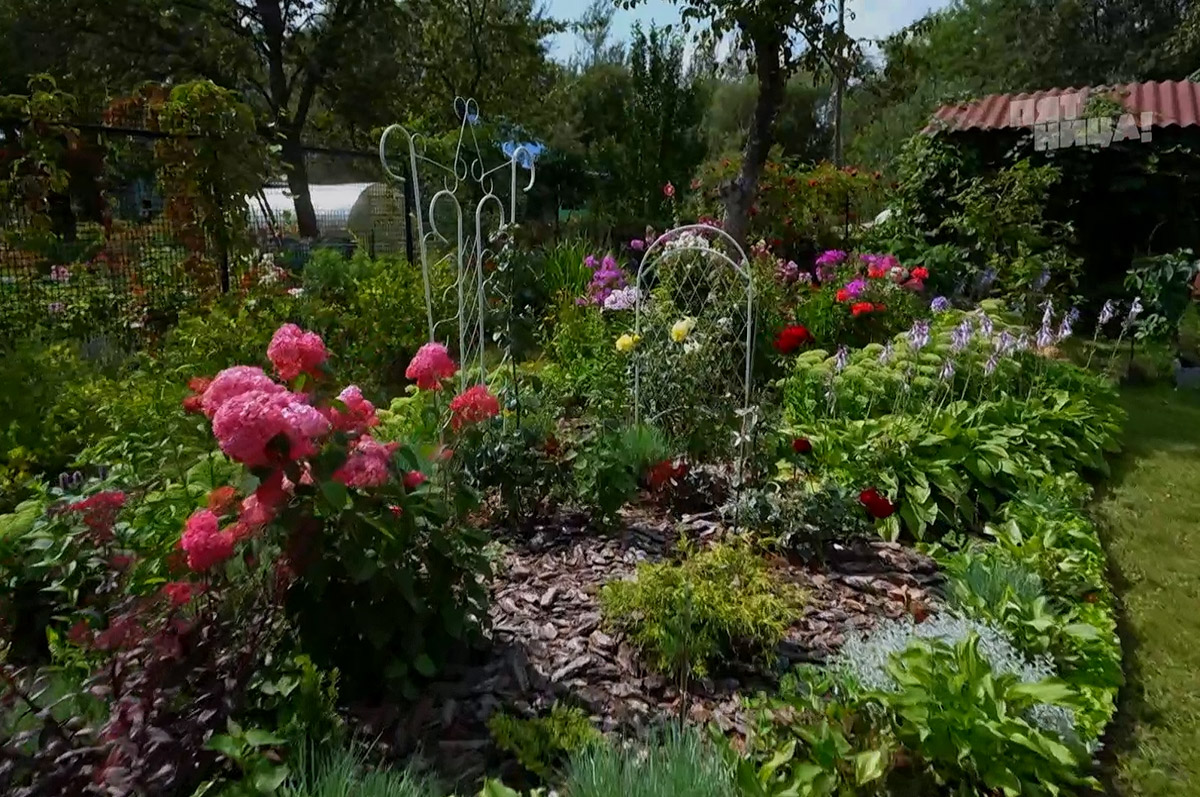 На телеканале «Пятница!» вышла новая серия реалити-шоу «Четыре дачи». Участие в нем приняли жители Золотого кольца России, причем двое из 33-го региона. Оба пусть и не победили, зато заняли призовые места. О том, как проходили съемки и что осталось за кадром, они рассказали «Ключ-Медиа».