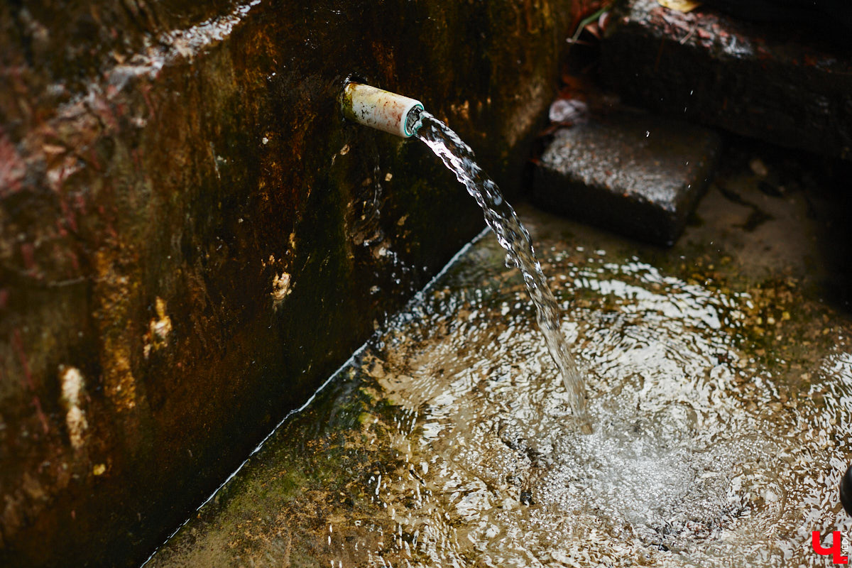 Во Владимире благоустроили Казанский родник, который давно пользуется популярностью не только у жителей юго-западного района. Расположен он не так далеко от дороги, оттого народ приезжает туда за водой с разных концов города. Мы тоже наведались к источнику, дабы посмотреть, что там изменилось после обновления.