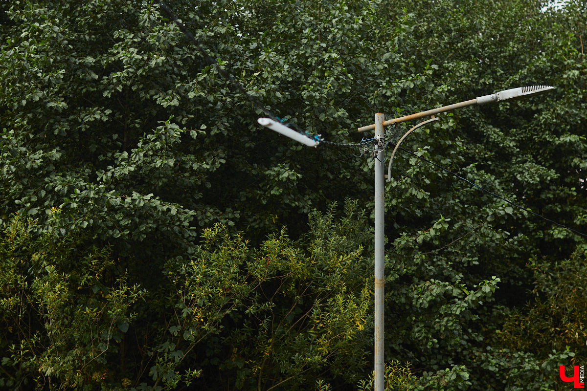 Во Владимире благоустроили Казанский родник, который давно пользуется популярностью не только у жителей юго-западного района. Расположен он не так далеко от дороги, оттого народ приезжает туда за водой с разных концов города. Мы тоже наведались к источнику, дабы посмотреть, что там изменилось после обновления.