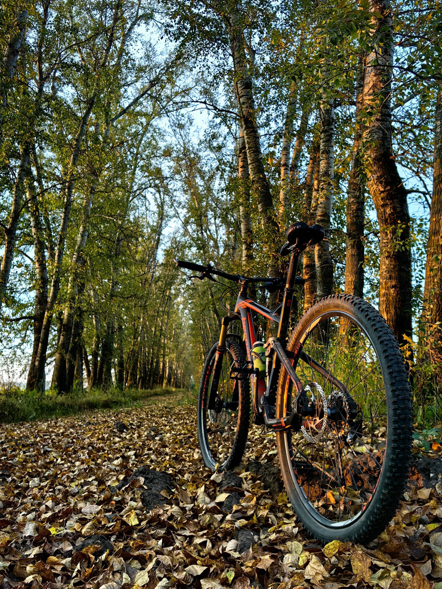 Жители Владимирской области не теряют время зря. В погожие деньки они с удовольствием гуляют по лесу с корзинками. И результаты тихой охоты впечатляют. В регионе настоящий грибной бум.