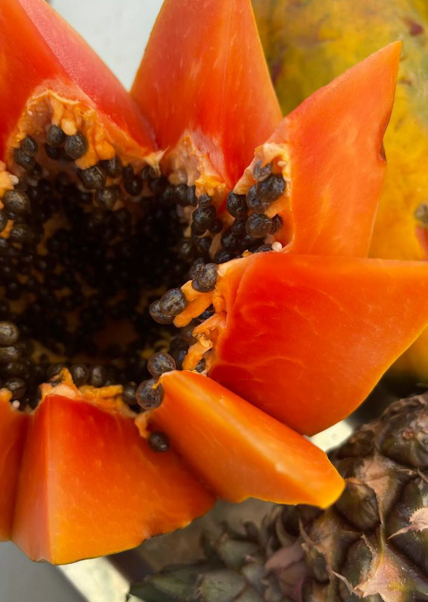 Летом этого года Куба стала одним из самых популярных направлений среди российских туристов. Только по официальным данным количество отдыхающих из нашей страны там выросло в полтора раза. Среди тех, кто выбирает белые песчаные пляжи и романтические пейзажи, все больше жителей нашего города. Среди них оказалась и Ольга Богданова, которая отметила на Острове свободы свой день рождения.