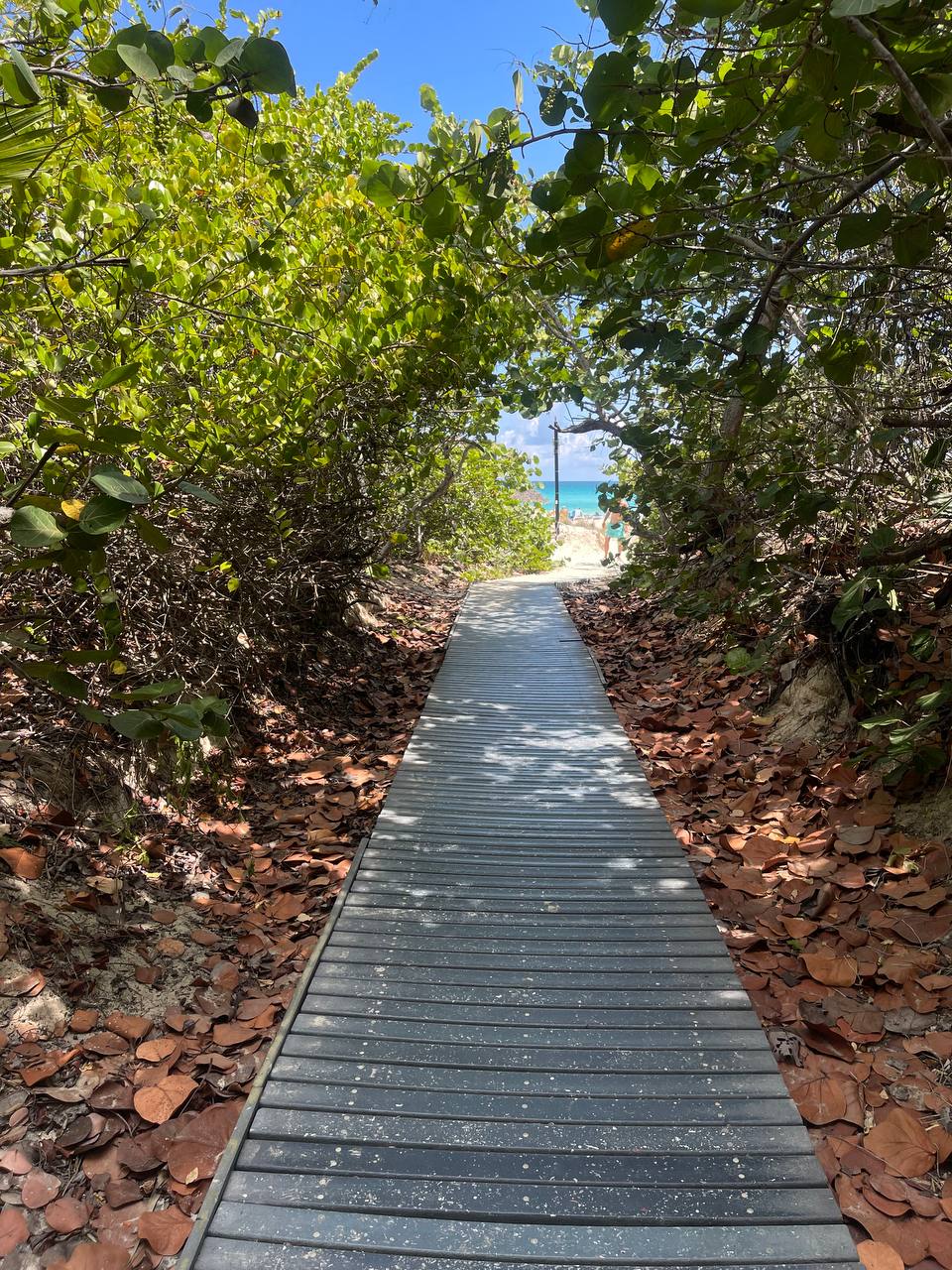 Летом этого года Куба стала одним из самых популярных направлений среди российских туристов. Только по официальным данным количество отдыхающих из нашей страны там выросло в полтора раза. Среди тех, кто выбирает белые песчаные пляжи и романтические пейзажи, все больше жителей нашего города. Среди них оказалась и Ольга Богданова, которая отметила на Острове свободы свой день рождения.