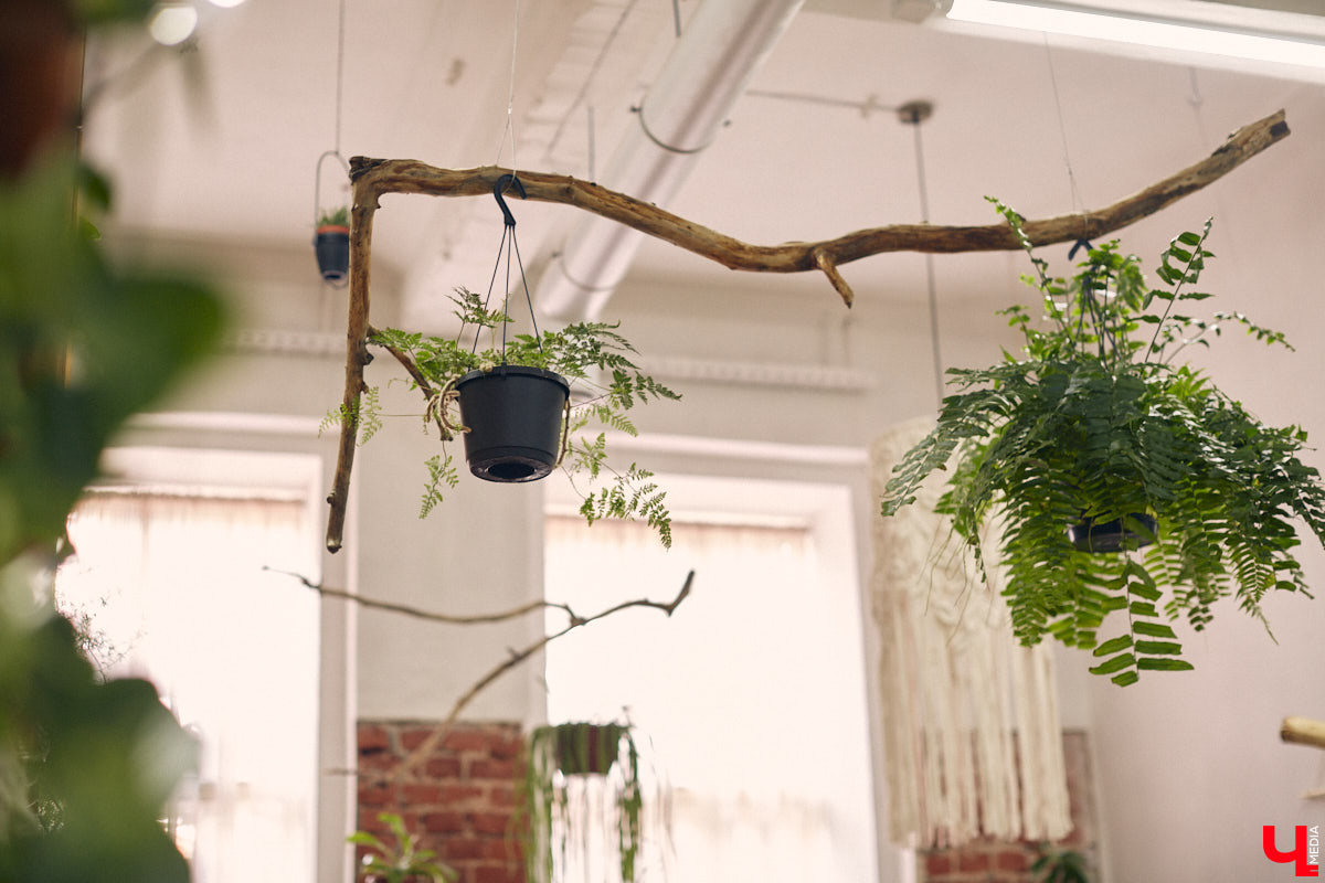 Законсервированная владимирская электростанция продолжает притягивать креативных людей. На территории пространства ТЭЦ-1 уже прошла театральная постановка, а сейчас там разместилась новая зеленая студия. Проект для нашего города необычный. В чем его суть? Авторы рассказали об этом «Ключ-Медиа» в день открытия локации.