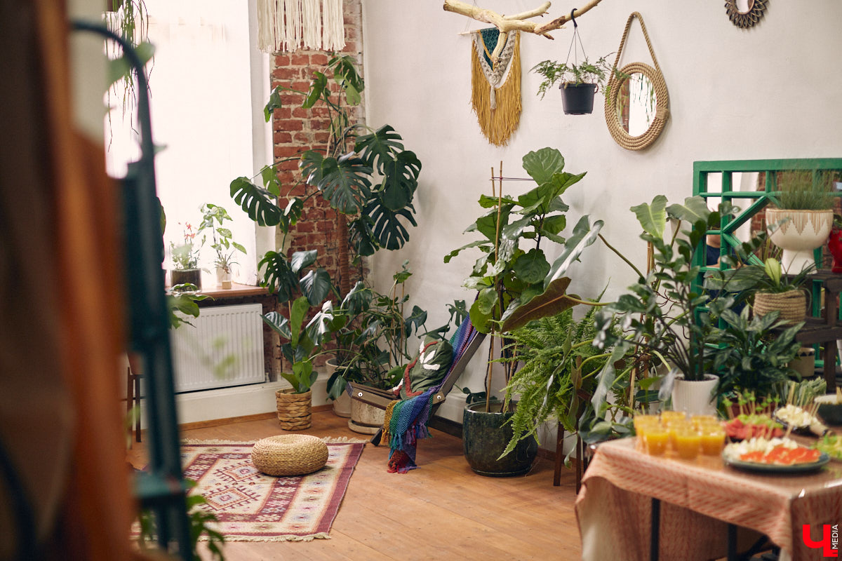 Законсервированная владимирская электростанция продолжает притягивать креативных людей. На территории пространства ТЭЦ-1 уже прошла театральная постановка, а сейчас там разместилась новая зеленая студия. Проект для нашего города необычный. В чем его суть? Авторы рассказали об этом «Ключ-Медиа» в день открытия локации.