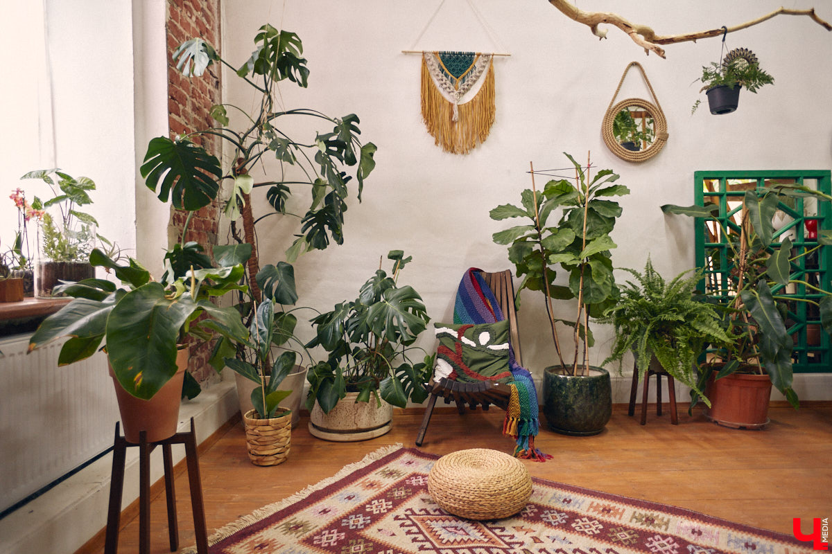 Законсервированная владимирская электростанция продолжает притягивать креативных людей. На территории пространства ТЭЦ-1 уже прошла театральная постановка, а сейчас там разместилась новая зеленая студия. Проект для нашего города необычный. В чем его суть? Авторы рассказали об этом «Ключ-Медиа» в день открытия локации.