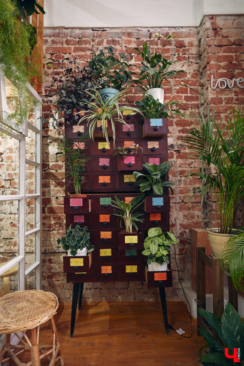 Законсервированная владимирская электростанция продолжает притягивать креативных людей. На территории пространства ТЭЦ-1 уже прошла театральная постановка, а сейчас там разместилась новая зеленая студия. Проект для нашего города необычный. В чем его суть? Авторы рассказали об этом «Ключ-Медиа» в день открытия локации.