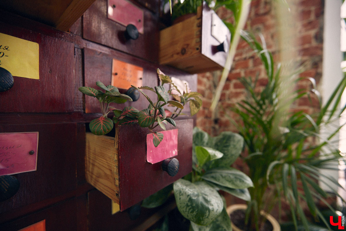 Законсервированная владимирская электростанция продолжает притягивать креативных людей. На территории пространства ТЭЦ-1 уже прошла театральная постановка, а сейчас там разместилась новая зеленая студия. Проект для нашего города необычный. В чем его суть? Авторы рассказали об этом «Ключ-Медиа» в день открытия локации.