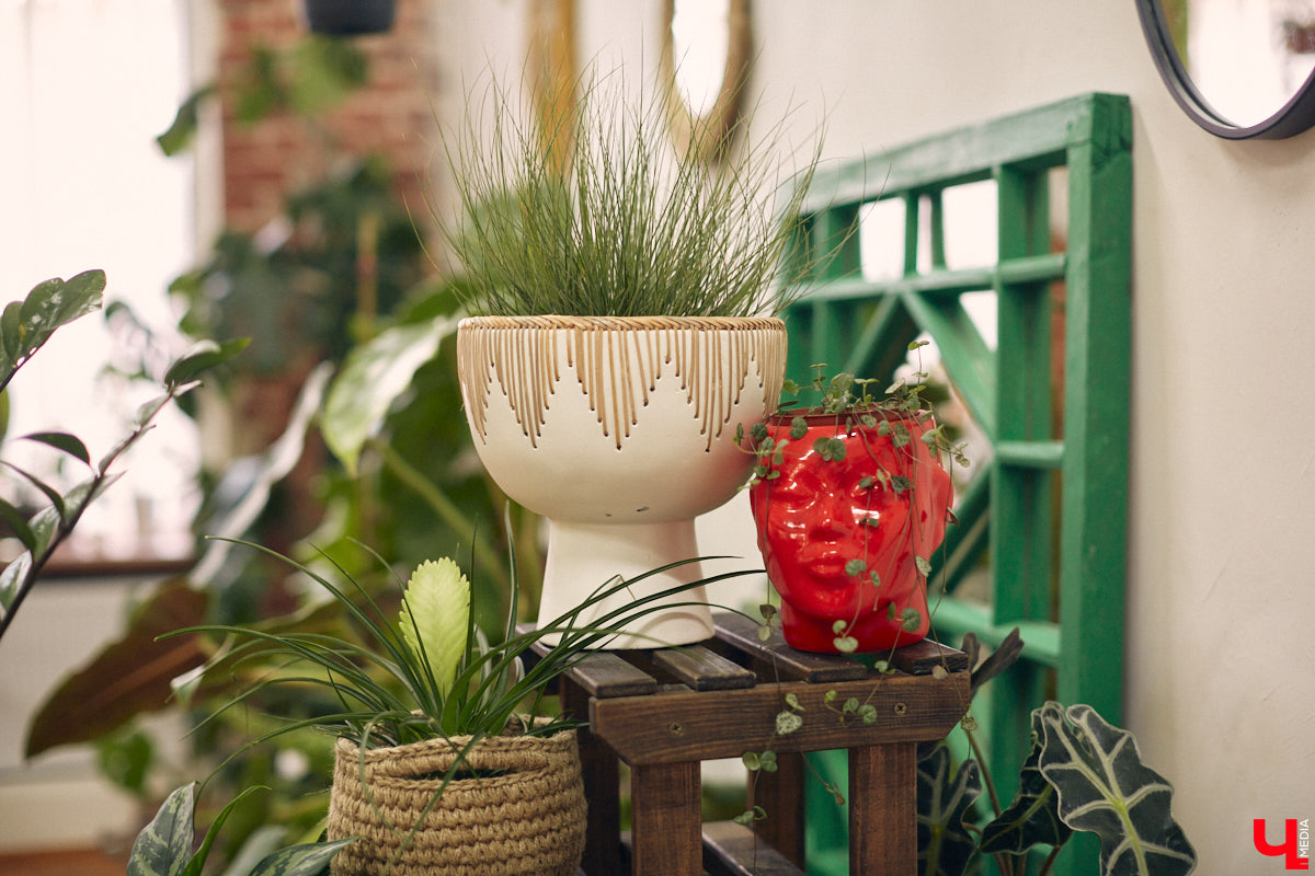 Законсервированная владимирская электростанция продолжает притягивать креативных людей. На территории пространства ТЭЦ-1 уже прошла театральная постановка, а сейчас там разместилась новая зеленая студия. Проект для нашего города необычный. В чем его суть? Авторы рассказали об этом «Ключ-Медиа» в день открытия локации.