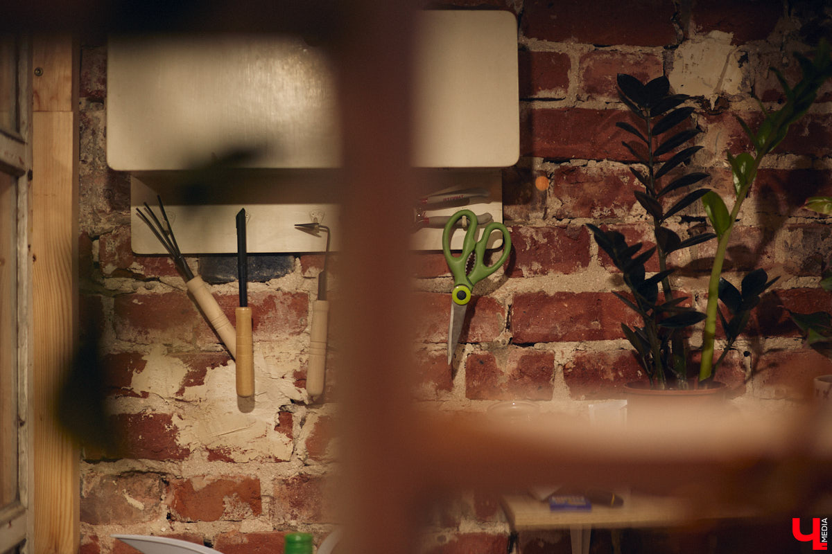 Законсервированная владимирская электростанция продолжает притягивать креативных людей. На территории пространства ТЭЦ-1 уже прошла театральная постановка, а сейчас там разместилась новая зеленая студия. Проект для нашего города необычный. В чем его суть? Авторы рассказали об этом «Ключ-Медиа» в день открытия локации.