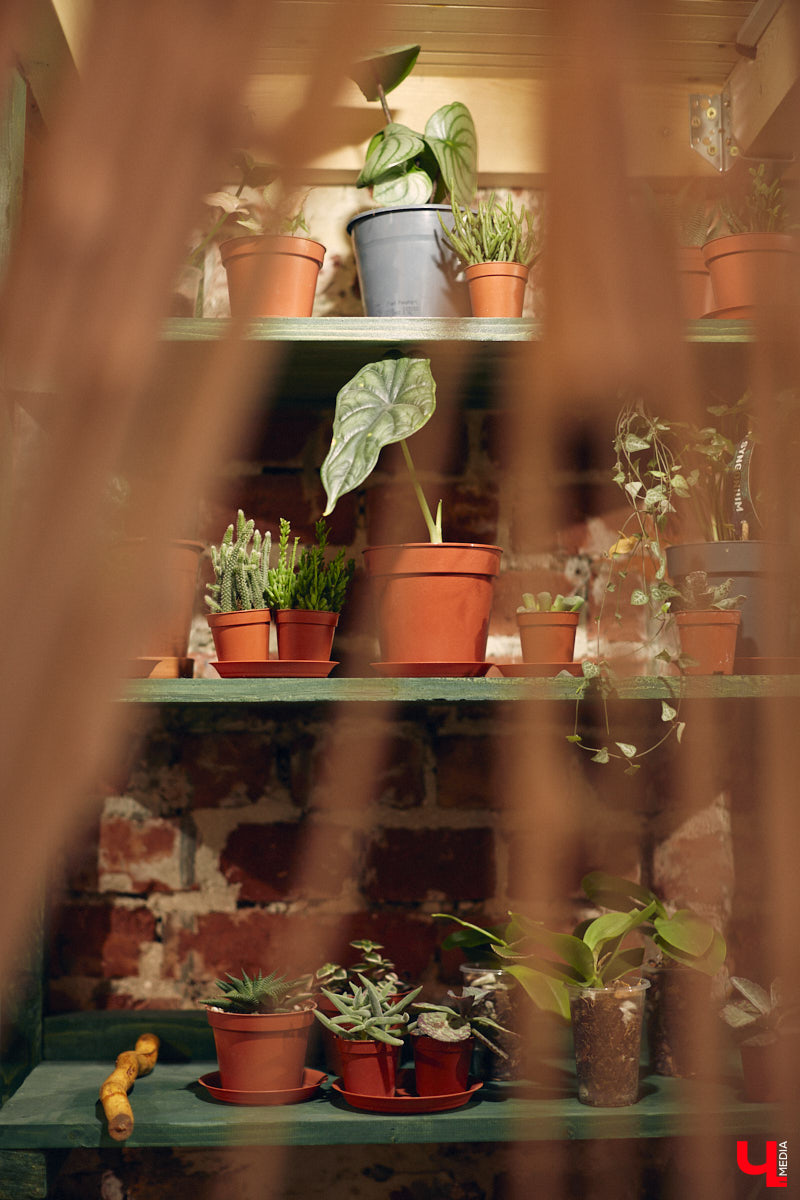 Законсервированная владимирская электростанция продолжает притягивать креативных людей. На территории пространства ТЭЦ-1 уже прошла театральная постановка, а сейчас там разместилась новая зеленая студия. Проект для нашего города необычный. В чем его суть? Авторы рассказали об этом «Ключ-Медиа» в день открытия локации.