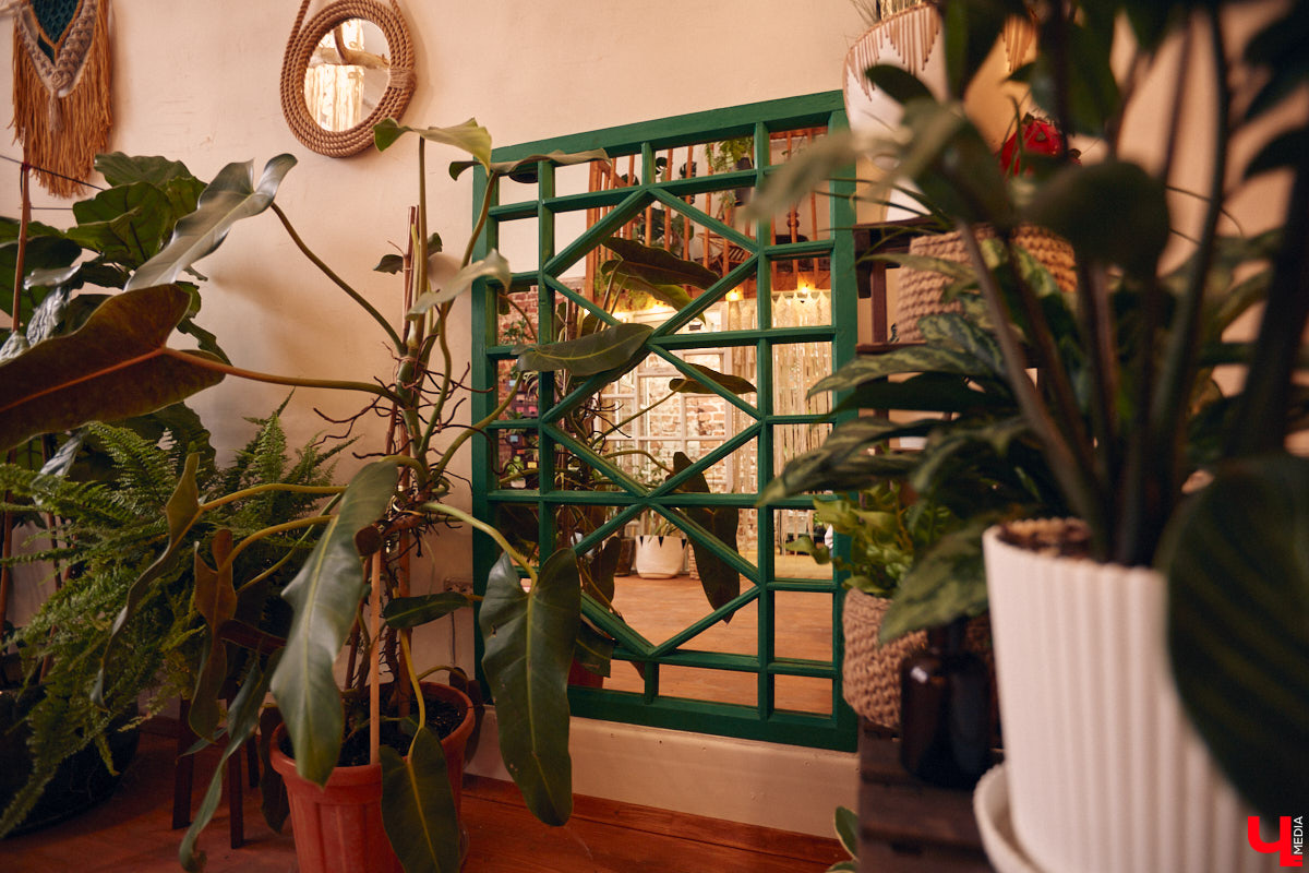 Законсервированная владимирская электростанция продолжает притягивать креативных людей. На территории пространства ТЭЦ-1 уже прошла театральная постановка, а сейчас там разместилась новая зеленая студия. Проект для нашего города необычный. В чем его суть? Авторы рассказали об этом «Ключ-Медиа» в день открытия локации.