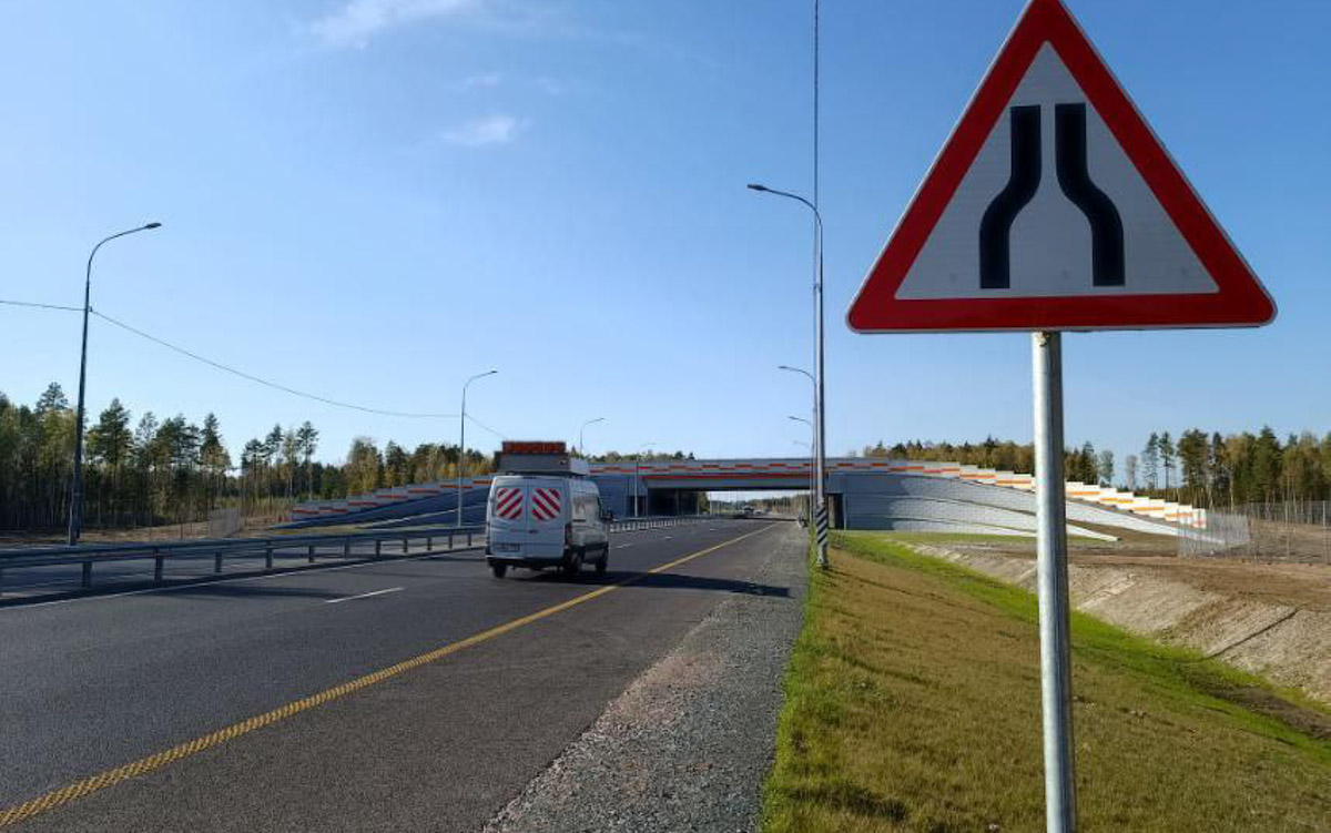 Дикие животные в регионе теперь смогут безопасно преодолевать скоростную магистраль М-12. Специально для них над и под трассой построят экодуки и зверопроходы. Первое сооружение в Судогодском районе уже открыли для лосей, оленей, кабанов и других обитателей леса. 