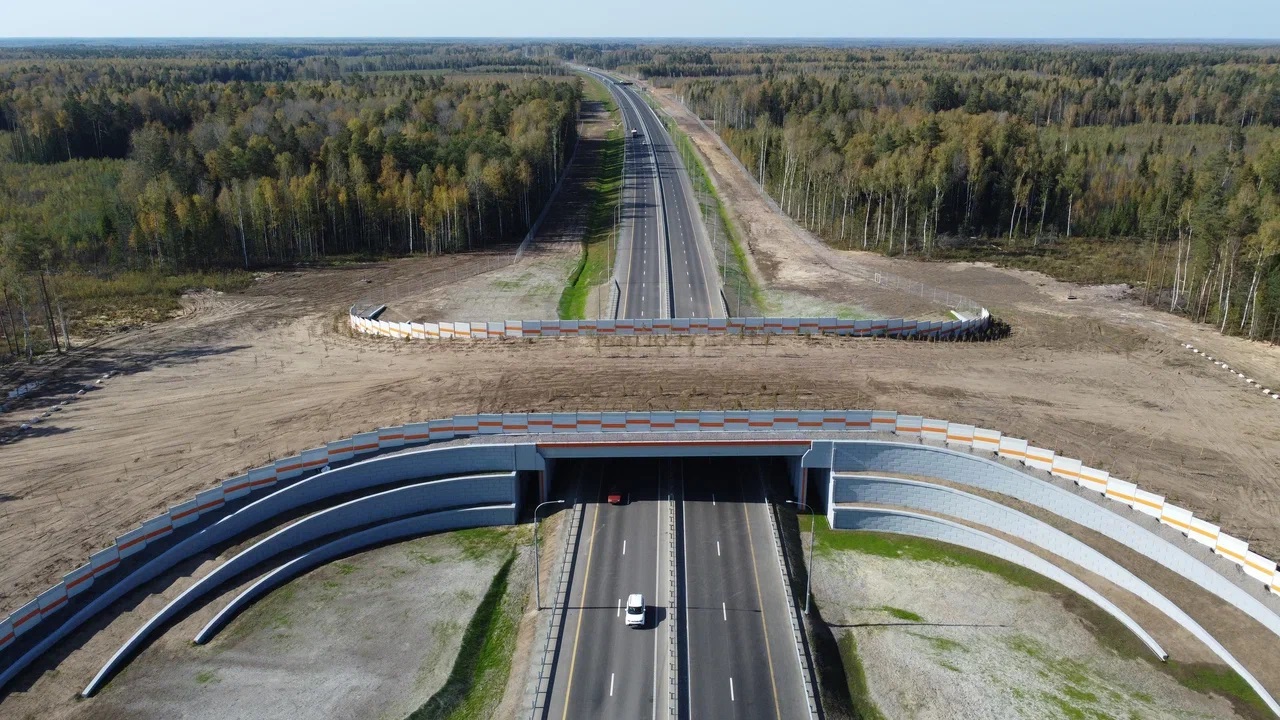 Дикие животные в регионе теперь смогут безопасно преодолевать скоростную магистраль М-12. Специально для них над и под трассой построят экодуки и зверопроходы. Первое сооружение в Судогодском районе уже открыли для лосей, оленей, кабанов и других обитателей леса. 