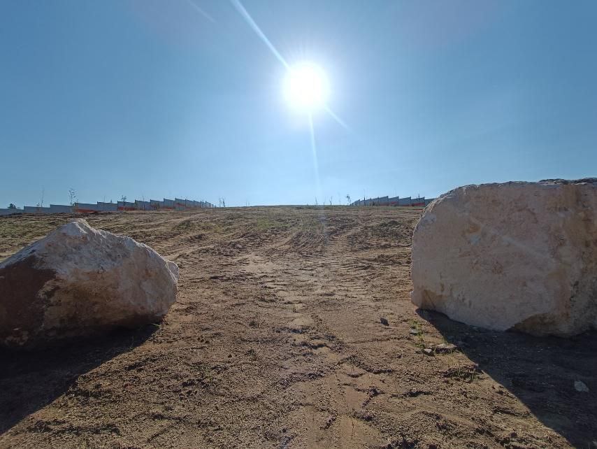 Дикие животные в регионе теперь смогут безопасно преодолевать скоростную магистраль М-12. Специально для них над и под трассой построят экодуки и зверопроходы. Первое сооружение в Судогодском районе уже открыли для лосей, оленей, кабанов и других обитателей леса. 