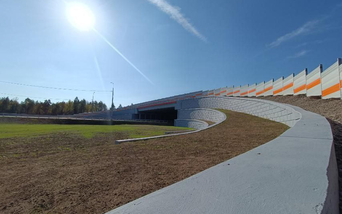 Дикие животные в регионе теперь смогут безопасно преодолевать скоростную магистраль М-12. Специально для них над и под трассой построят экодуки и зверопроходы. Первое сооружение в Судогодском районе уже открыли для лосей, оленей, кабанов и других обитателей леса. 