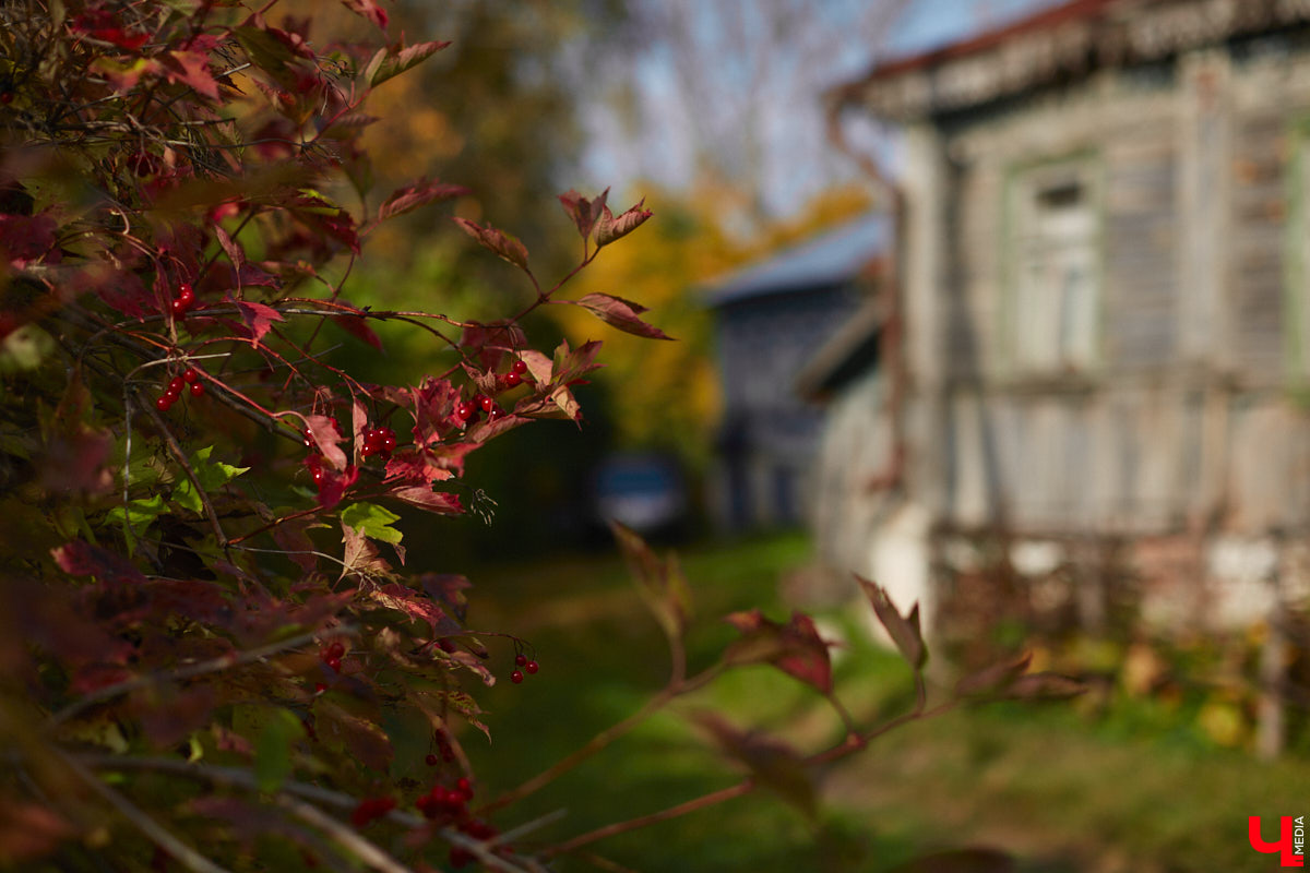 Однажды в общественном транспорте две женщины громко спорили, где растут самые вкусные яблоки. Одна говорила, что в МЮДе, другая уверяла, что в поселке Садовом. И обе оказались правы. Что еще интересного есть в этом районе, на сегодняшней экскурсии нам поведал местный художник Антон Ёжкин.