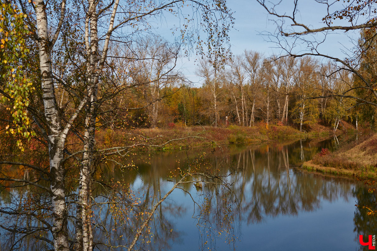 Однажды в общественном транспорте две женщины громко спорили, где растут самые вкусные яблоки. Одна говорила, что в МЮДе, другая уверяла, что в поселке Садовом. И обе оказались правы. Что еще интересного есть в этом районе, на сегодняшней экскурсии нам поведал местный художник Антон Ёжкин.