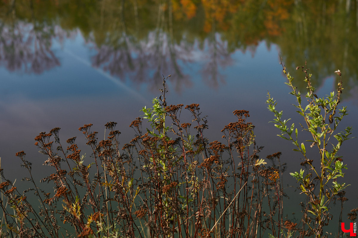Однажды в общественном транспорте две женщины громко спорили, где растут самые вкусные яблоки. Одна говорила, что в МЮДе, другая уверяла, что в поселке Садовом. И обе оказались правы. Что еще интересного есть в этом районе, на сегодняшней экскурсии нам поведал местный художник Антон Ёжкин.