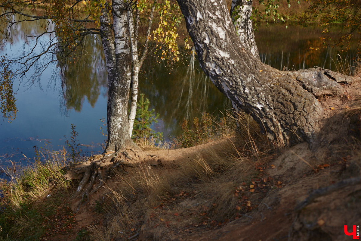 Однажды в общественном транспорте две женщины громко спорили, где растут самые вкусные яблоки. Одна говорила, что в МЮДе, другая уверяла, что в поселке Садовом. И обе оказались правы. Что еще интересного есть в этом районе, на сегодняшней экскурсии нам поведал местный художник Антон Ёжкин.