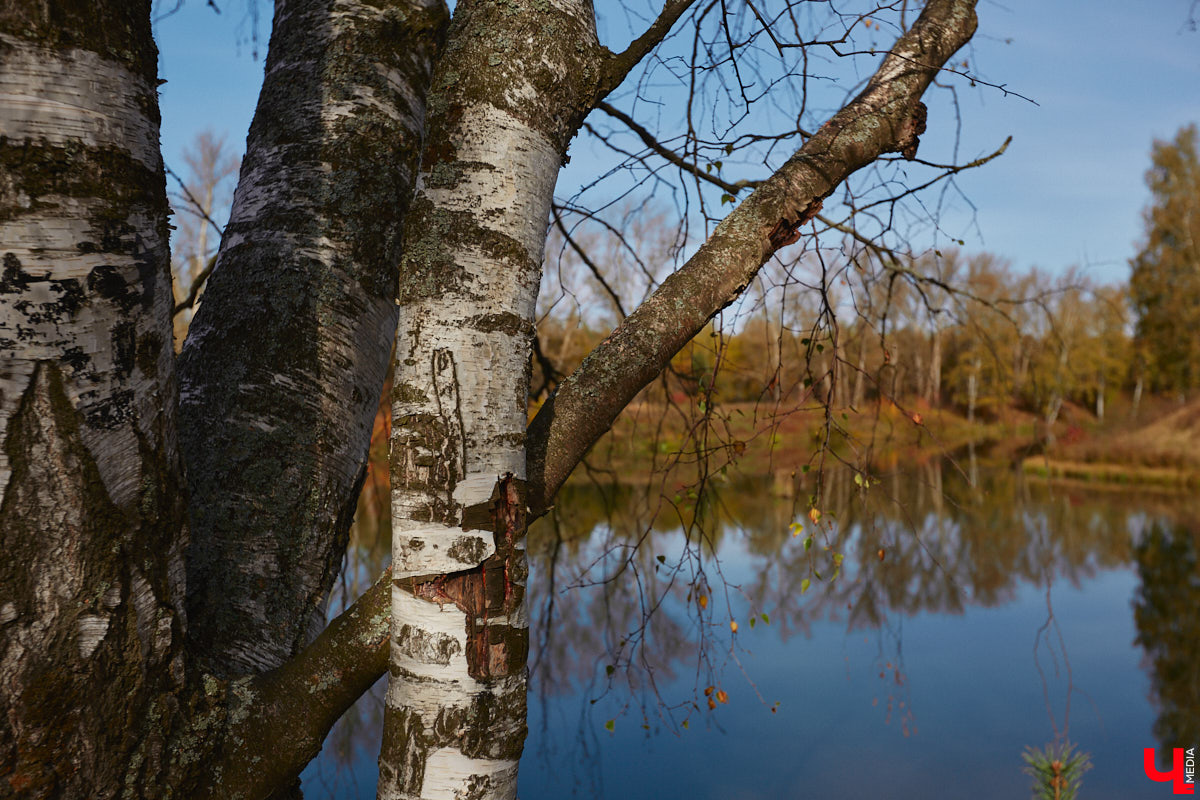 Однажды в общественном транспорте две женщины громко спорили, где растут самые вкусные яблоки. Одна говорила, что в МЮДе, другая уверяла, что в поселке Садовом. И обе оказались правы. Что еще интересного есть в этом районе, на сегодняшней экскурсии нам поведал местный художник Антон Ёжкин.