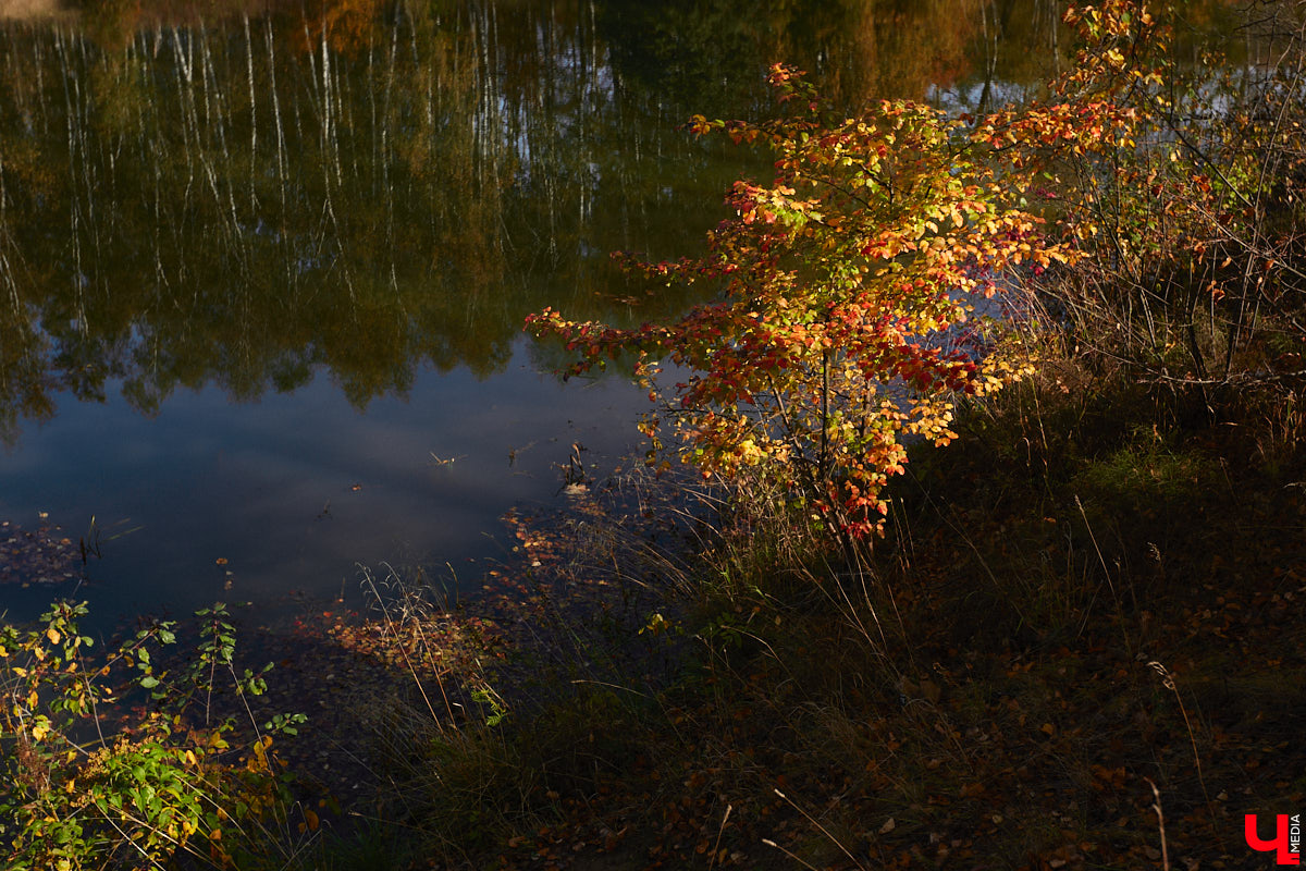 Однажды в общественном транспорте две женщины громко спорили, где растут самые вкусные яблоки. Одна говорила, что в МЮДе, другая уверяла, что в поселке Садовом. И обе оказались правы. Что еще интересного есть в этом районе, на сегодняшней экскурсии нам поведал местный художник Антон Ёжкин.